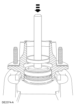 GF0006586