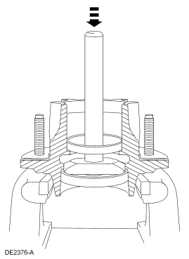 GF0006588