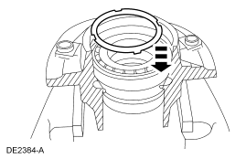 GF0006596
