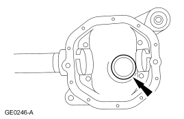 GF0009833