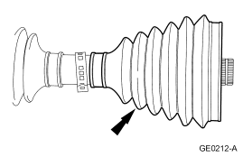 GF0009894