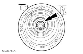 GF0010135