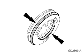 GF0010198