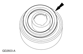 GF0010286