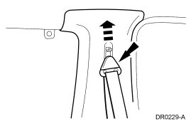 GF0011225