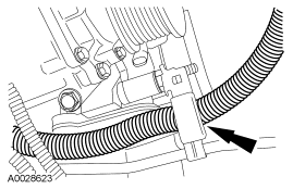 GF0011638