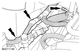 GF0015117