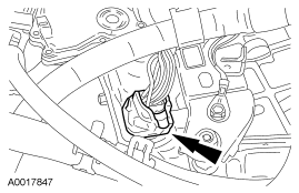 GF0024296