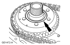 GF0024901
