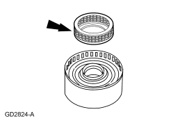 GF0025091