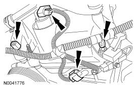 GF0029026