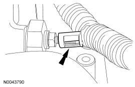 GF0029036