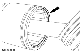 GF0031525