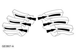 GFD134436