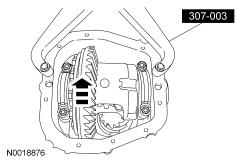 GFD134495