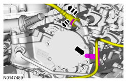 GFD134903
