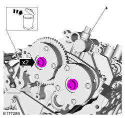 GFD135304