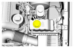 GFD135607
