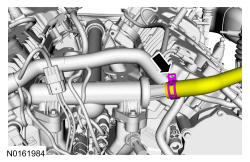 GFD135620