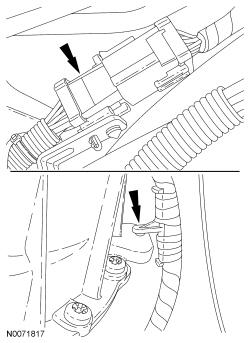 GFD136558