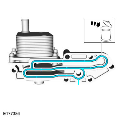 GFD144506