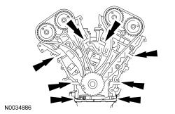 GFD15559
