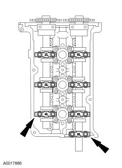 GFD15600