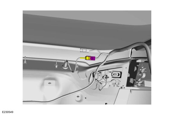 GFD199204