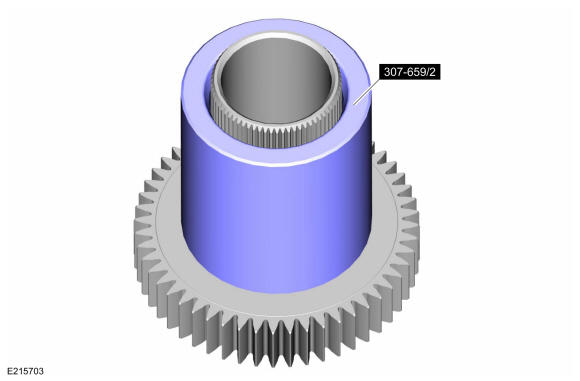 GFD204905