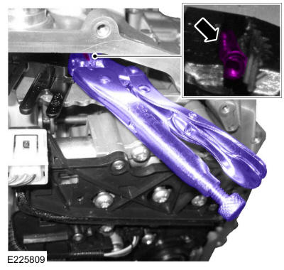 GFD215124