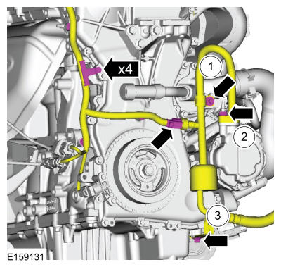 GFD223285