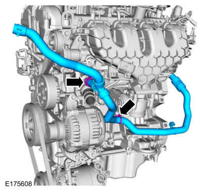 GFD228325