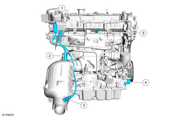 GFD228667