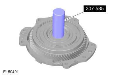 GFD261779