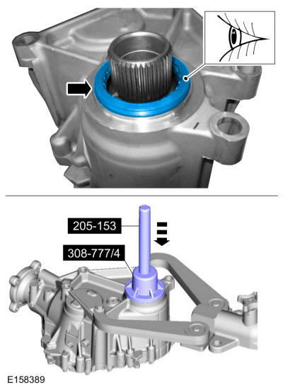 GFD262279