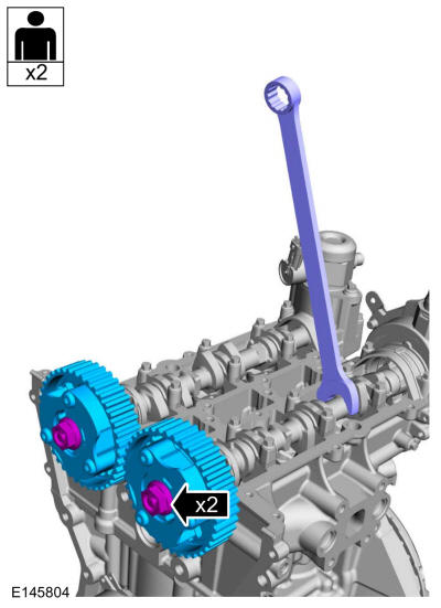 GFD265019