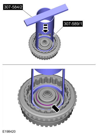 GFD268267