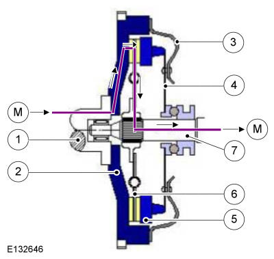 GFD268481