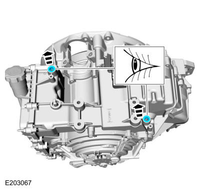 GFD281304