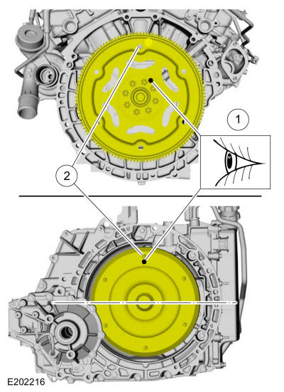 GFD281307