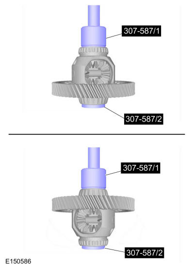 GFD281593