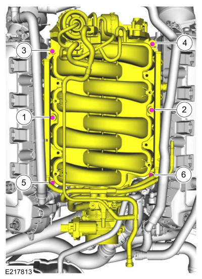 GFD286420