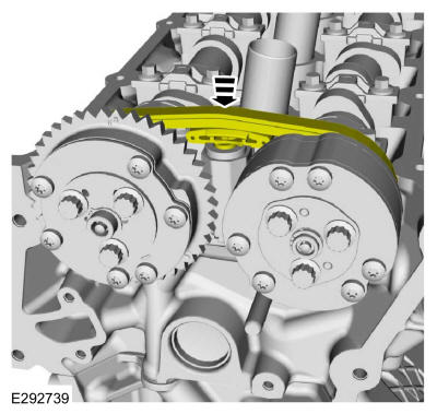 GFD286479