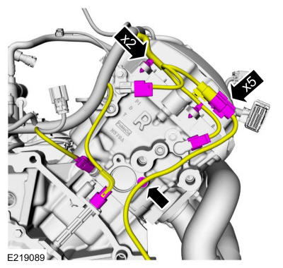 GFD286573