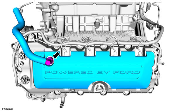 GFD286579