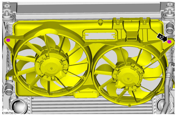 GFD286763