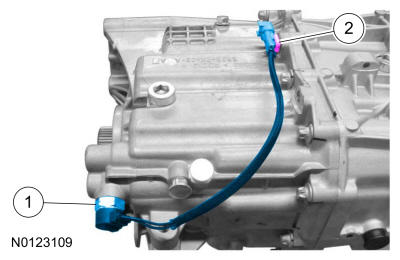 GFD288317