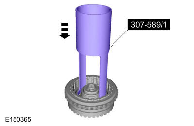 GFD305062