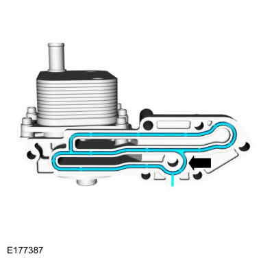 GFD307901