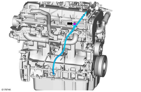 GFD308045